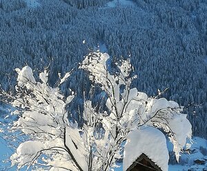 Oberrieserhof