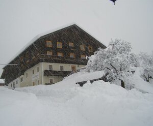 Blasenhof