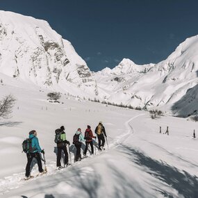 RANGERTOUR "WILDe Überlebenskünstler in Kals am Großglockner"
