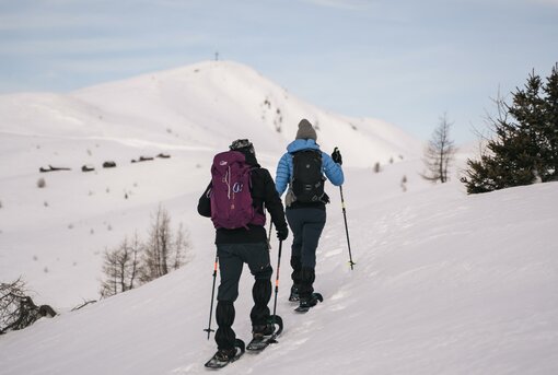 Schneeschuhsafari Golzentipp-Dorfberg