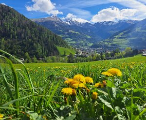Apartments Pötscher