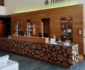 Hotel ZEDERN KLANG