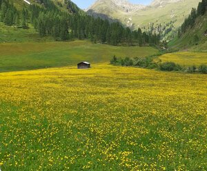 Almhütte Unterkofel