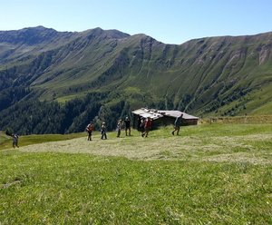 Alfenalm - Ferienwohnungen am Berg - Almhütte