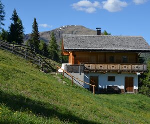 Almhütte die Stiendlalm
