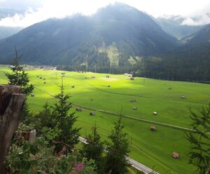 Bauernhof Lienharter