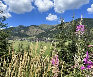 Bauernhof Lienharter