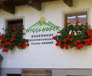 Nigglhofer