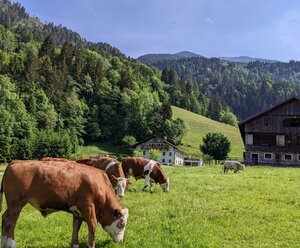 Korberhof