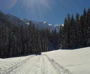 Gästehaus Alpenblick