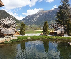 Ferienwohnung "Falkenstein"