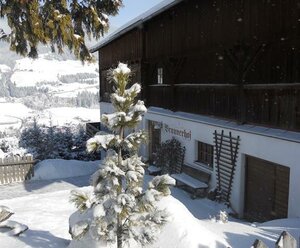 Ferienwohnung Brunnerhof