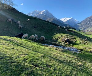 Ferienwohnung BodnLois