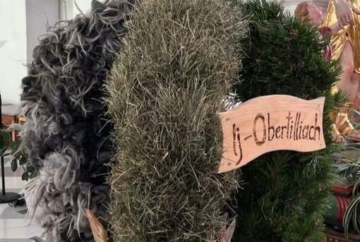 Erntedankfest mit Prozession und Pfarrfest am Kirchplatz