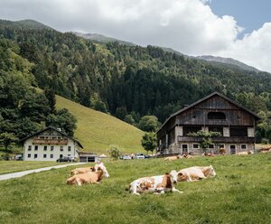 Korberhof