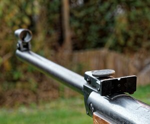 Luftdruckgewehrschießen für Gäste