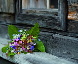 kostenlos geführte Wanderung - Kärntens Blumenberg