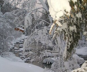 Frühstückspension SILVIA LEITNER