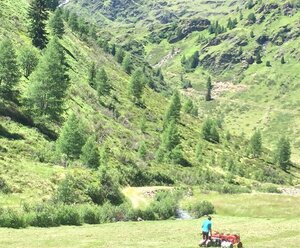 Ferienwohnungen Bachlechner