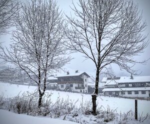 Ferienwohnung Prosseggklamm