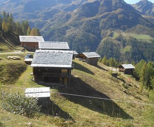 Kameliesenalm Werner Fürhapter