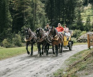 Romantische Pferdekutschenfahrt