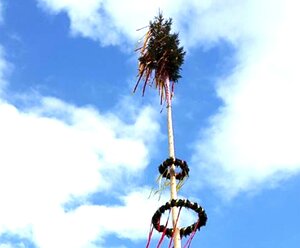 Maibaumpassen in Birnbaum