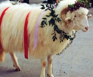 Opferwidderprozession