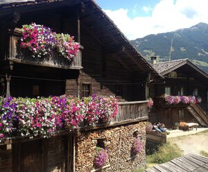 Mesnerhof