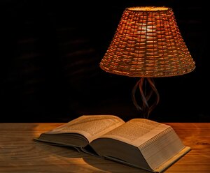 LICHTblicke Talk & Buchpräsentation "Dein Herz ist gefragt"