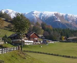 Biobauernhof Berger-Veidlerhof