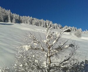 Gästehaus Alpenblick