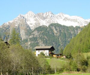 Apartments Auenheim