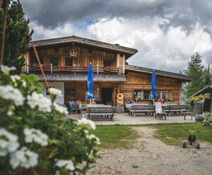 Leckfeldalm