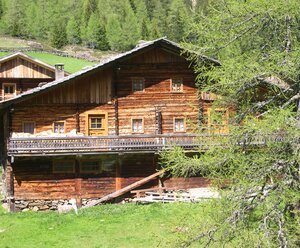 Oberstalleralm Mitterhaider