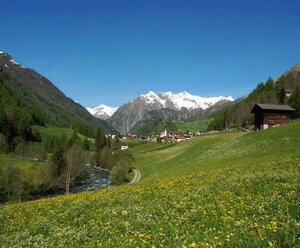Taxerhof