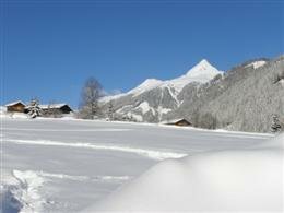 Ferienhaus ROSEMARIE