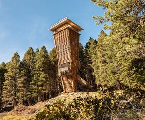 Rangertour: NATURE WATCH VON OBEN - Wildtierbeobachtungsturm Oberhaus