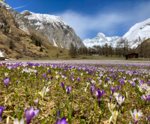Wanderausstellung - 10 Jahre Euregio Kalender