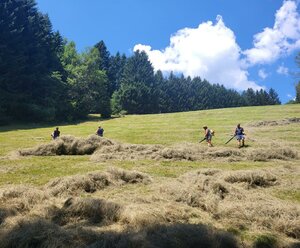 Familie Tagger/Burgfrieden