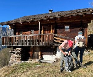 Zirbenalm
