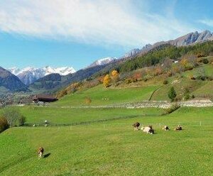 Biobauernhof Berger-Veidlerhof