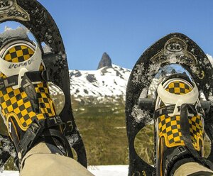 Schneeschuhwanderung unterm Sternenhimmel
