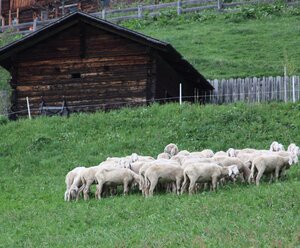 Vortrag "Zwischen Himmel und Erde" mit Maria Radziwon