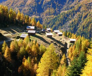 Kamelisenalm AUSSERMOSCHER