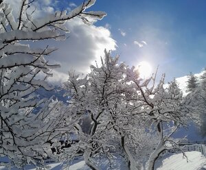 Gästeheim Pötscher