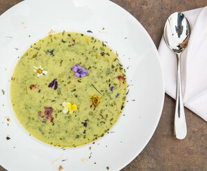Wildkräutersuppe Workshop