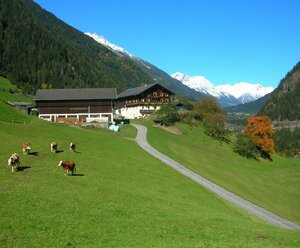 Blasenhof