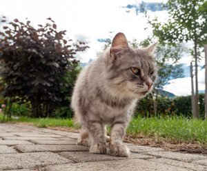 Landhaus Strickenmacher