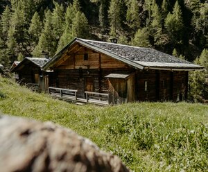 Oberstalleralm Bachlet